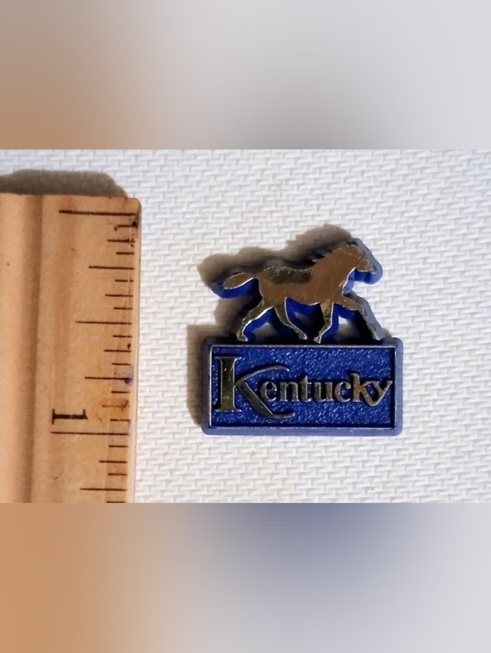 Kentucky Plastic Blue Horse Racing Vintage Collectible Lapel Hat Jacket Pin